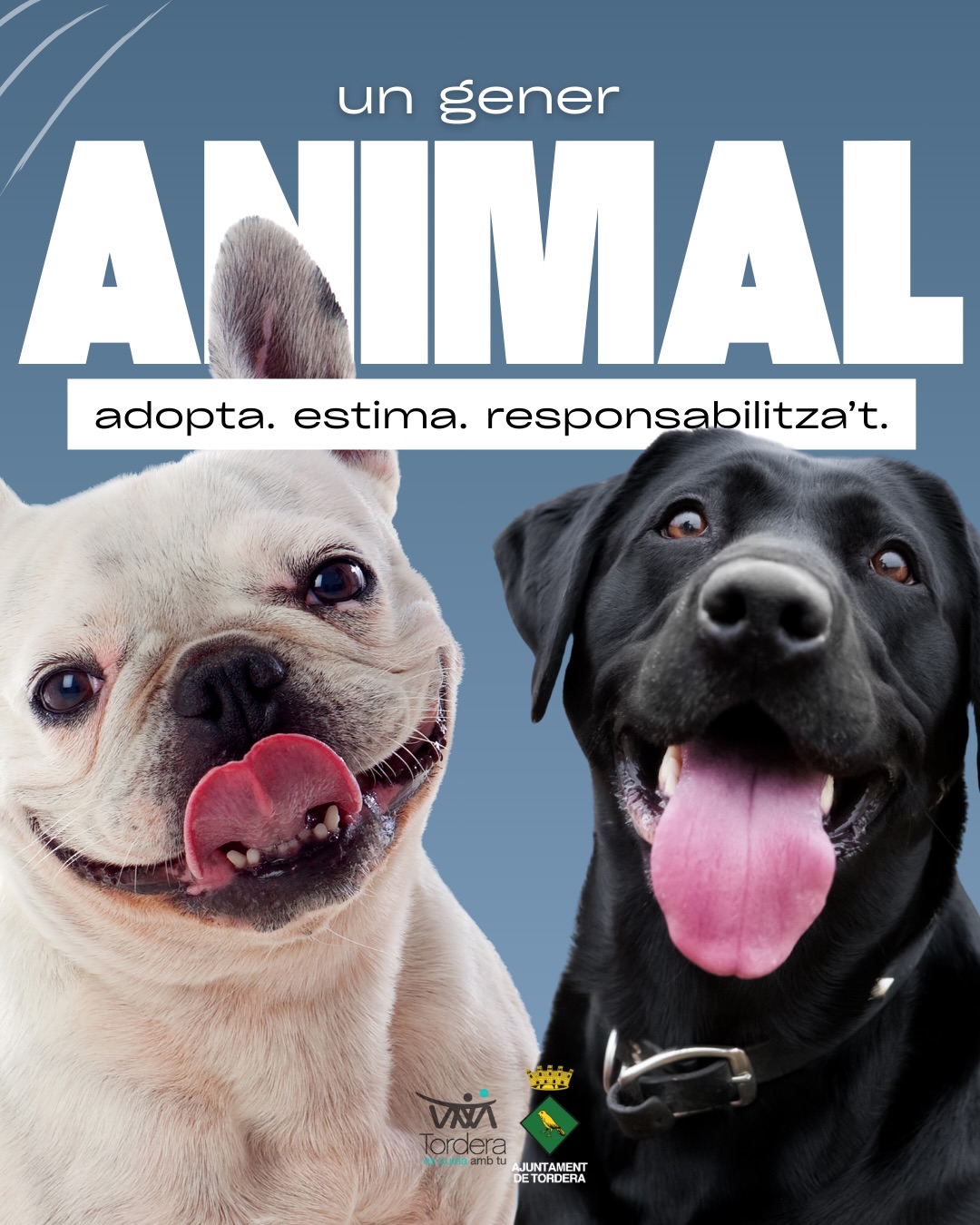 UN GENER ANIMAL: Xerrada - Tinen&ccedil;a responsable i benestar animal