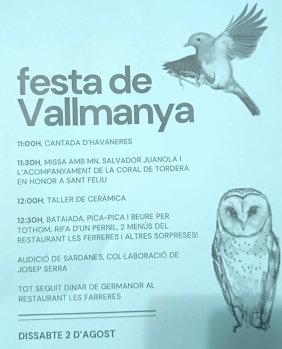 Festa de Vallmanya