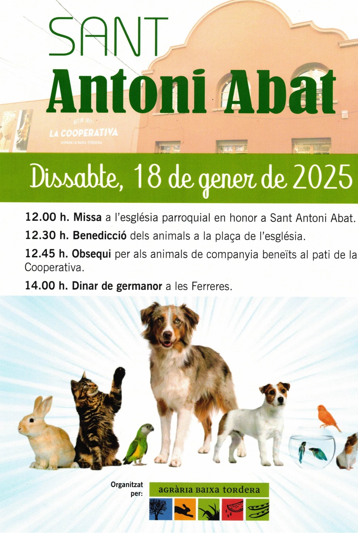 Festa de Sant Antoni Abat