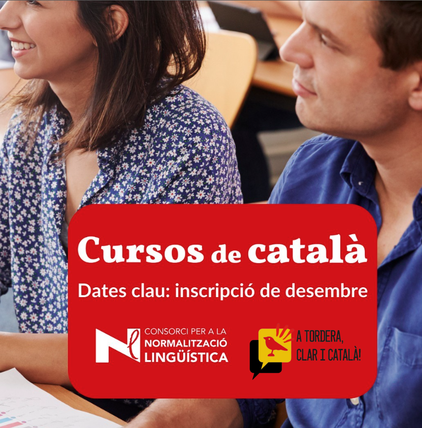 Imatge cursos català desembre 2024