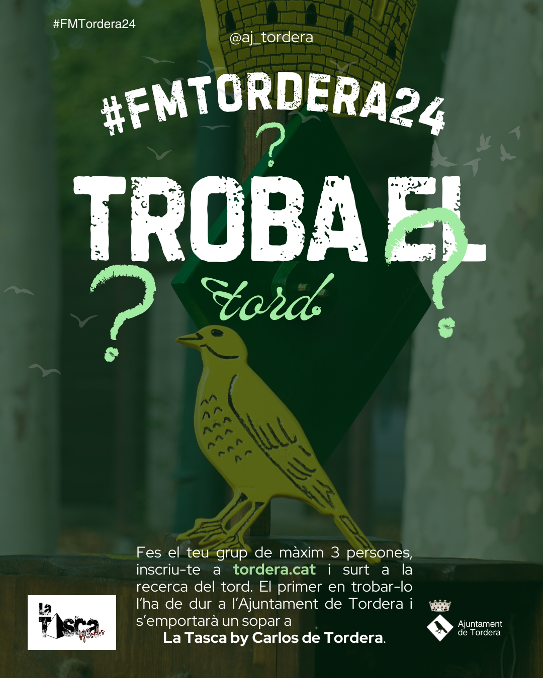 Troba el tord i emporta't un sopar gratuït!