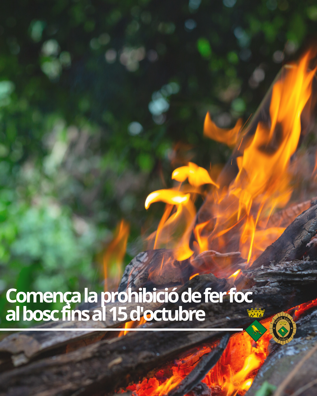 Comen&ccedil;a la prohibici&oacute; de fer foc al bosc fins al 15 d'octubre